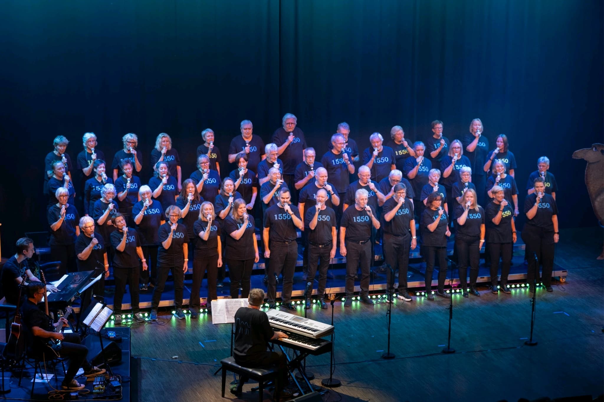 Konsert - Kulturdøgn Soon - Hølenkoret